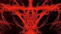 Blair Witch, Sługi boże - weekendowe premiery filmowe