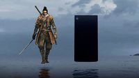 Nas też zaskoczyło zwycięstwo Sekiro, nowy Xbox i remake Gothica