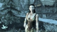 The Elder Scrolls V: Skyrim doczeka się dużych dodatków DLC. Pierwszy patch w dniu premiery