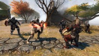 Ponad 900 zł za limitowaną edycję gry Kingdoms of Amalur: Reckoning