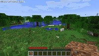 Minecraft najlepszą grą 2011 roku według magazynu TIME