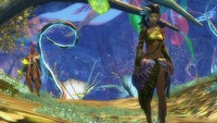Konferencja NCSoftu. Premiera Guild Wars 2 uzależniona od wyników beta testów, wersja konsolowa w planach