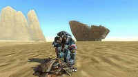 Star Wars: The Old Republic - więcej o systemie umiejętności załogi
