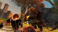 Jak będą wyglądały płatne mikrododatki do Guild Wars 2?