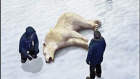 Przygodówki Alpha Polaris oraz Julia: Innocent Eyes znalazły wydawcę