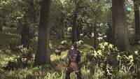Arcania: Gothic 4 - filmowa prezentacja systemu walki