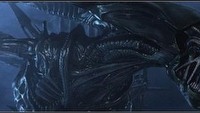 Aliens vs Predator - będzie demo!