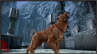 Unikalna rasa w Dragon Age: Początek