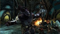 Bohaterowie gry Dragon Age: Początek