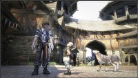 Idealna gra dla wegetarian? Fable II!