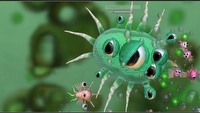 Spore na więcej niż pięciu PC