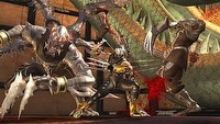 Sprzedano milion pudełek z Ninja Gaiden II