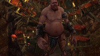 Co trzeba poprawić w Warhammerze Online?