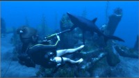 Eidos uruchomił serwis poświęcony Tomb Raider: Underworld