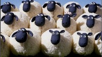 Koralina i Baranek Shaun doczekają gier ze swoim udziałem