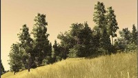 Technologia SpeedTree@RT w przyszłych produkcjach Microsoft Game Studios