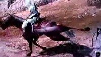 Poznaliśmy przyczynę dziwnych zachowań Assassin's Creed w wersji PS3