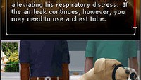 Majesco zapowiada grę Pet Pals: Animal Doctor
