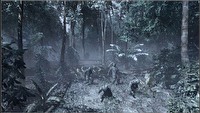 Crysis w złocie