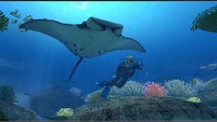 Znamy europejską datę premiery gry Endless Ocean