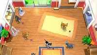 Tri Synergy zapowiada grę I Love Kittens