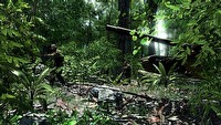 Crysis grywalny nawet na czteroletnim komputerze?