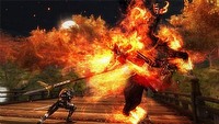 Znamy datę amerykańskiej premiery gry Ninja Gaiden Sigma