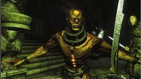 Pierwsze informacje dotyczące gry The Elder Scrolls: Shivering Isles