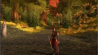 Zdobądź 10 000 euro grając w Dungeon & Dragons Online: Stormreach