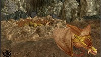 Ogłoszono terminy kolejnych etapów beta-testów Warhammera Online