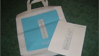 Książka „Nintendo World Handbook” już w sieci