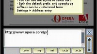 Przeglądarka internetowa na DS - nowe wieści