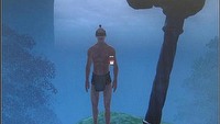 Trwają prace nad nieoficjalnym trybem multiplayer do gry The Elder Scrolls IV: Oblivion