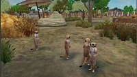 Zoo Tycoon 2: African Adventure w sklepach