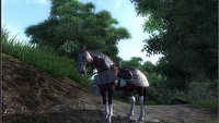 Co nowego w temacie The Elder Scrolls IV: Oblivion?