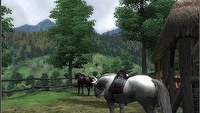 Kontrowersje wokół zbroi dla konia w The Elder Scrolls IV: Oblivion