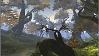 Realistyczna flora w Age of Conan: Hyborian Adventures
