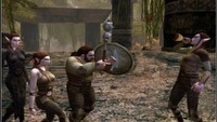 Trzeba przetestować Dungeons & Dragons Online. Są chętni?