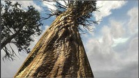 Drzewa! Widzę drzewa! - nowe możliwości Unreal Engine 3