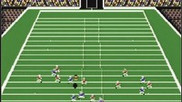 Madden Football 2005 ozłocone