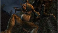 Fable przedpremierowo