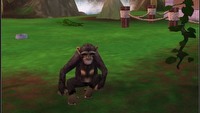 Komercyjny sukces serii Zoo Tycoon