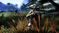 City Interactive zmienia harmonogram premier i daje czas swoim deweloperom