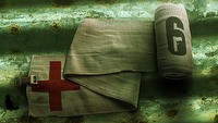Wieści ze świata (Rainbow Six: Siege, Master of Orion: Conquer the Stars) 11/8/2016