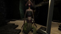 Age of Dynasties, Enderal, ARX: End of Sun i inne najlepsze modyfikacje