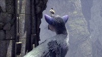 The Last Guardian - zwiastun z PlayStation Experience 2016