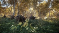 Symulator polowania theHunter: Call of the Wild ukaże się 16 lutego