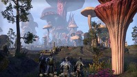 The Elder Scrolls Online sprzedało się w 8,5 mln egzemplarzy