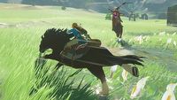 The Legend of Zelda: Breath of the Wild na PC dzięki emulatorowi Cemu