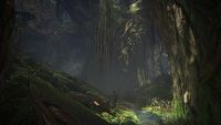 Monster Hunter World opóźniony na PC, by zapewnić odpowiednią optymalizację